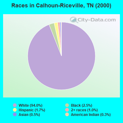 Races in Calhoun-Riceville, TN (2000)