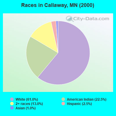 Races in Callaway, MN (2000)