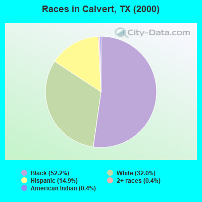 Races in Calvert, TX (2000)