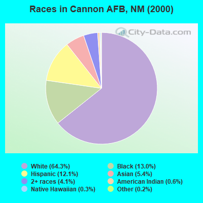 Races in Cannon AFB, NM (2000)