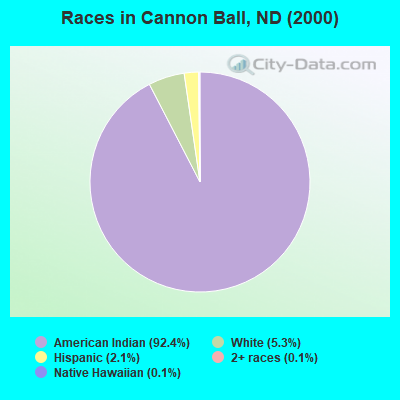 Races in Cannon Ball, ND (2000)