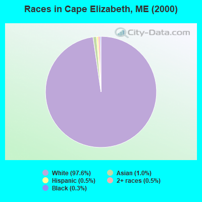 Races in Cape Elizabeth, ME (2000)