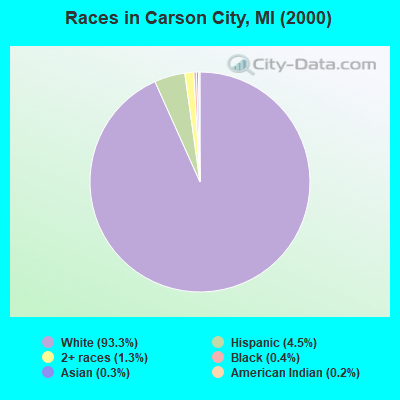 Races in Carson City, MI (2000)