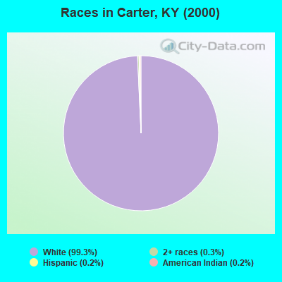 Races in Carter, KY (2000)