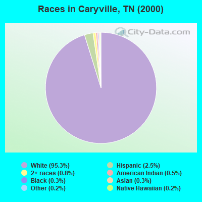Races in Caryville, TN (2000)