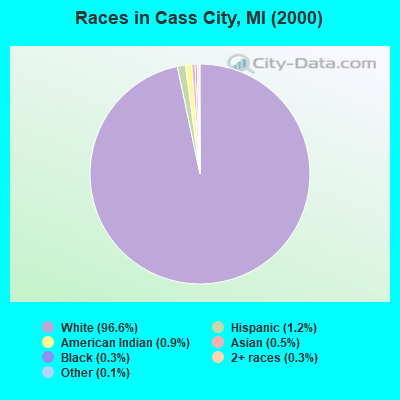 Races in Cass City, MI (2000)