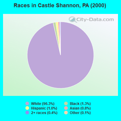 Races in Castle Shannon, PA (2000)