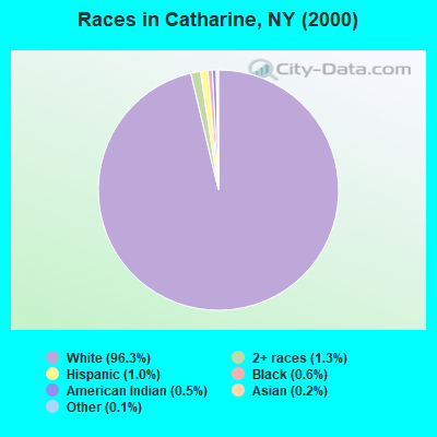 Races in Catharine, NY (2000)