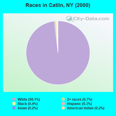 Races in Catlin, NY (2000)