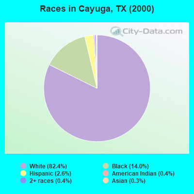 Races in Cayuga, TX (2000)