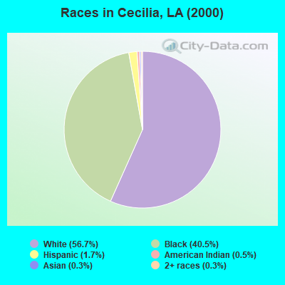 Races in Cecilia, LA (2000)