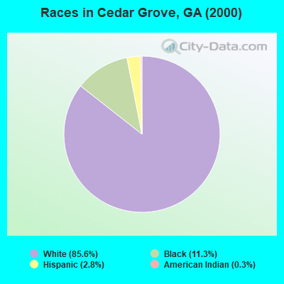 Races in Cedar Grove, GA (2000)