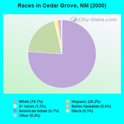 Races in Cedar Grove, NM (2000)