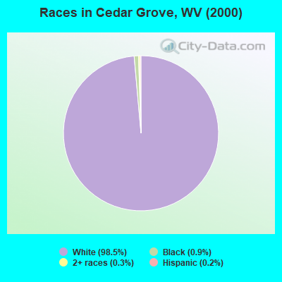 Races in Cedar Grove, WV (2000)