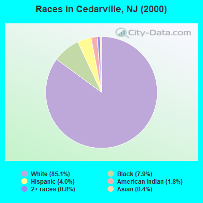 Races in Cedarville, NJ (2000)