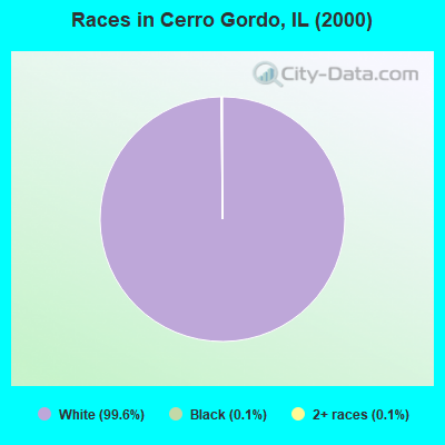 Races in Cerro Gordo, IL (2000)