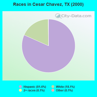 Races in Cesar Chavez, TX (2000)