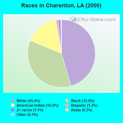 Races in Charenton, LA (2000)