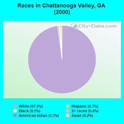 Races in Chattanooga Valley, GA (2000)
