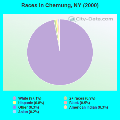 Races in Chemung, NY (2000)
