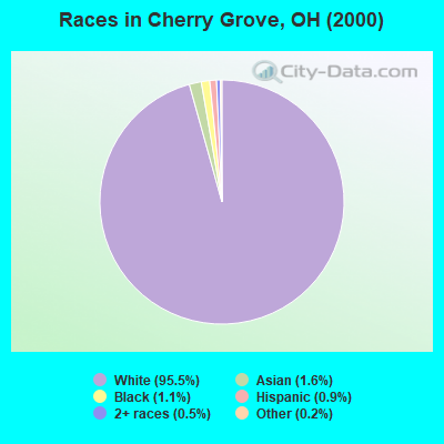 Races in Cherry Grove, OH (2000)