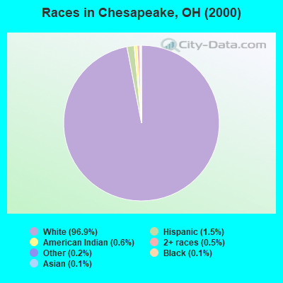 Races in Chesapeake, OH (2000)