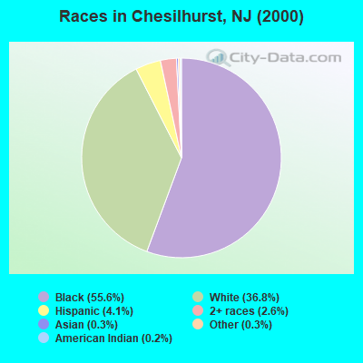 Races in Chesilhurst, NJ (2000)
