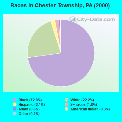 Races in Chester Township, PA (2000)