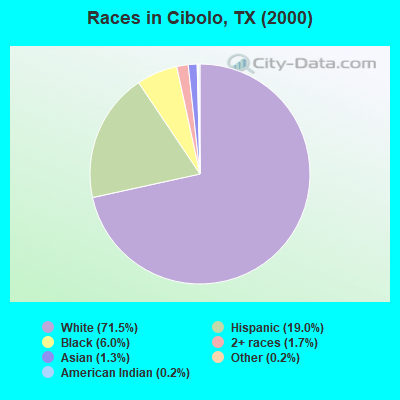 Races in Cibolo, TX (2000)