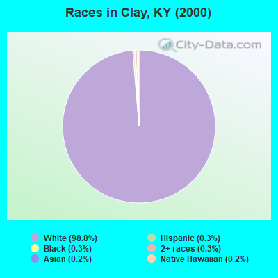 Races in Clay, KY (2000)