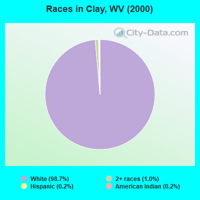 Races in Clay, WV (2000)