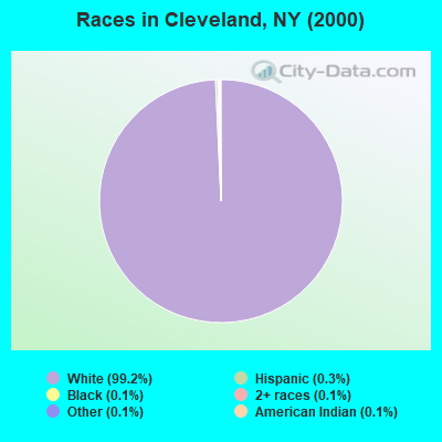 Races in Cleveland, NY (2000)