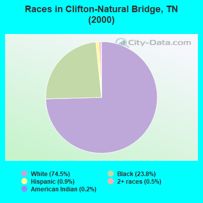 Races in Clifton-Natural Bridge, TN (2000)