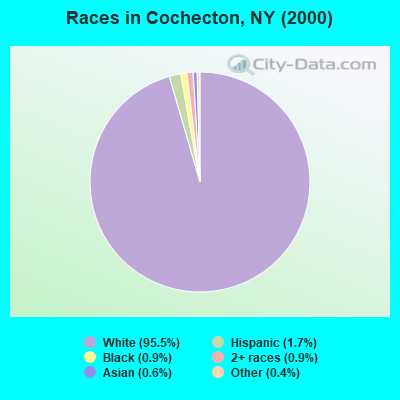 Races in Cochecton, NY (2000)