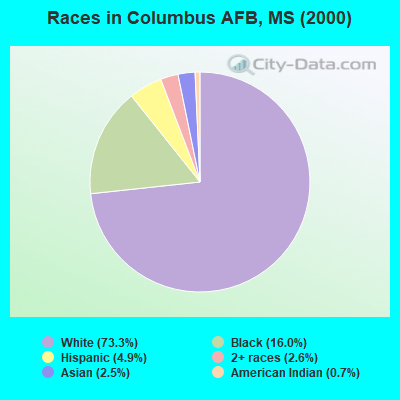 Races in Columbus AFB, MS (2000)