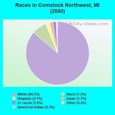 Races in Comstock Northwest, MI (2000)