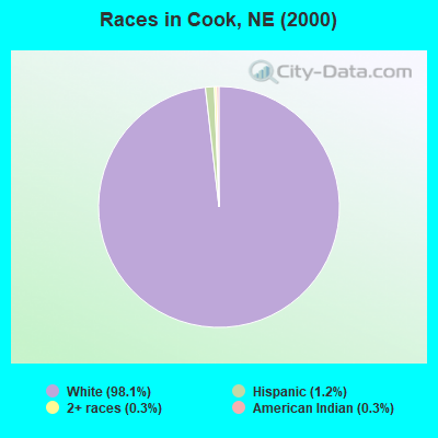 Races in Cook, NE (2000)