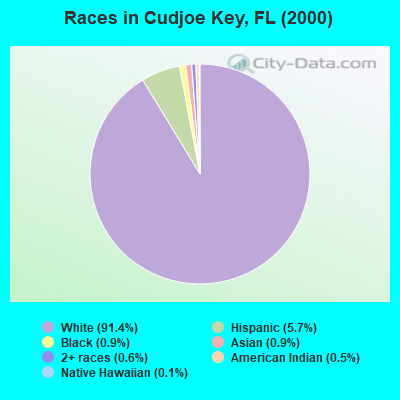 Races in Cudjoe Key, FL (2000)