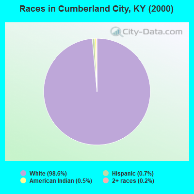 Races in Cumberland City, KY (2000)