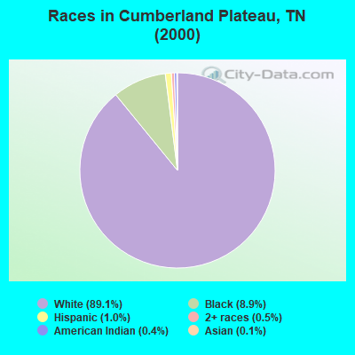 Races in Cumberland Plateau, TN (2000)