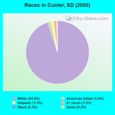 Races in Custer, SD (2000)