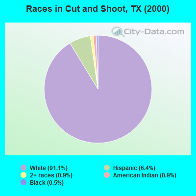 Races in Cut and Shoot, TX (2000)