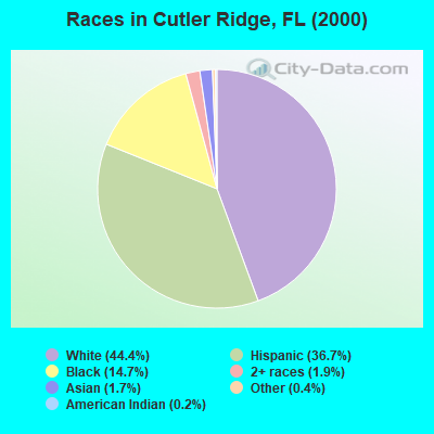 Races in Cutler Ridge, FL (2000)