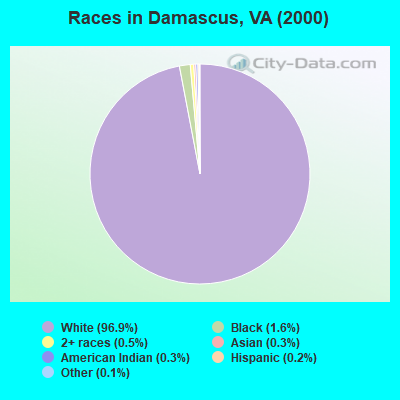 Races in Damascus, VA (2000)