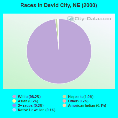 Races in David City, NE (2000)