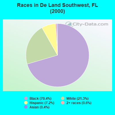 Races in De Land Southwest, FL (2000)