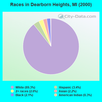 Races in Dearborn Heights, MI (2000)