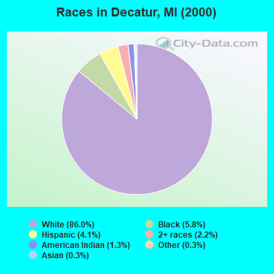 Races in Decatur, MI (2000)