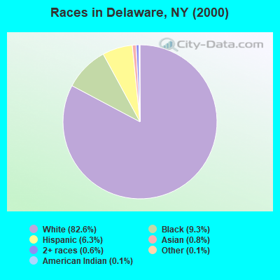 Races in Delaware, NY (2000)
