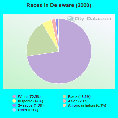 Races in Delaware (2000)